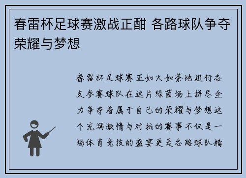 春雷杯足球赛激战正酣 各路球队争夺荣耀与梦想