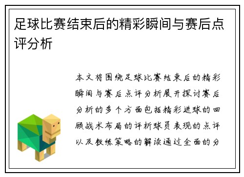 足球比赛结束后的精彩瞬间与赛后点评分析