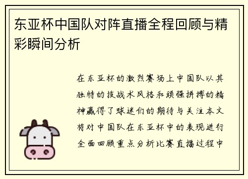 东亚杯中国队对阵直播全程回顾与精彩瞬间分析