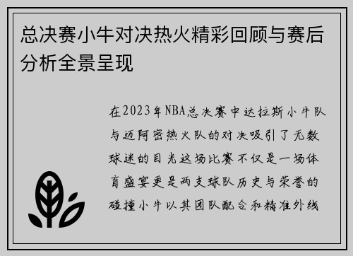 总决赛小牛对决热火精彩回顾与赛后分析全景呈现