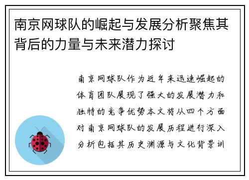 南京网球队的崛起与发展分析聚焦其背后的力量与未来潜力探讨