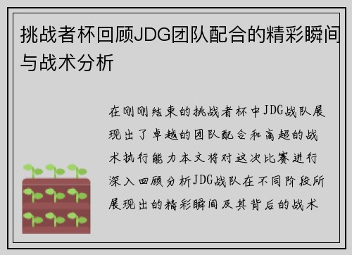 挑战者杯回顾JDG团队配合的精彩瞬间与战术分析